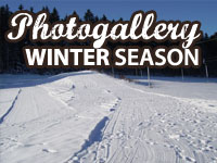 Phototogallery - Winter